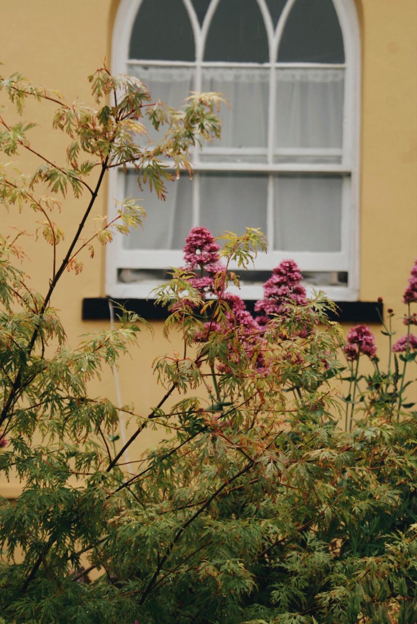 브릭섬 Ranscombe House B&B 외부 사진